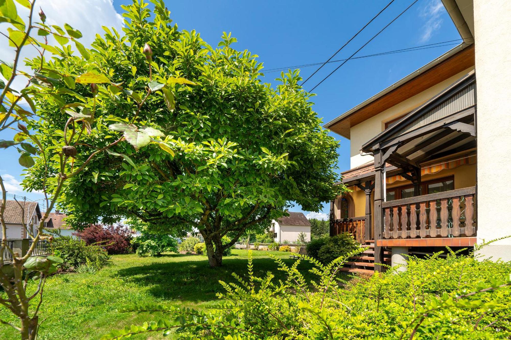La Clef Des Songes Bed & Breakfast Mertzwiller Exterior photo
