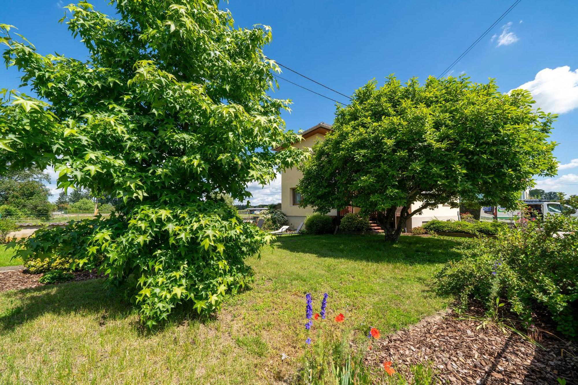 La Clef Des Songes Bed & Breakfast Mertzwiller Exterior photo
