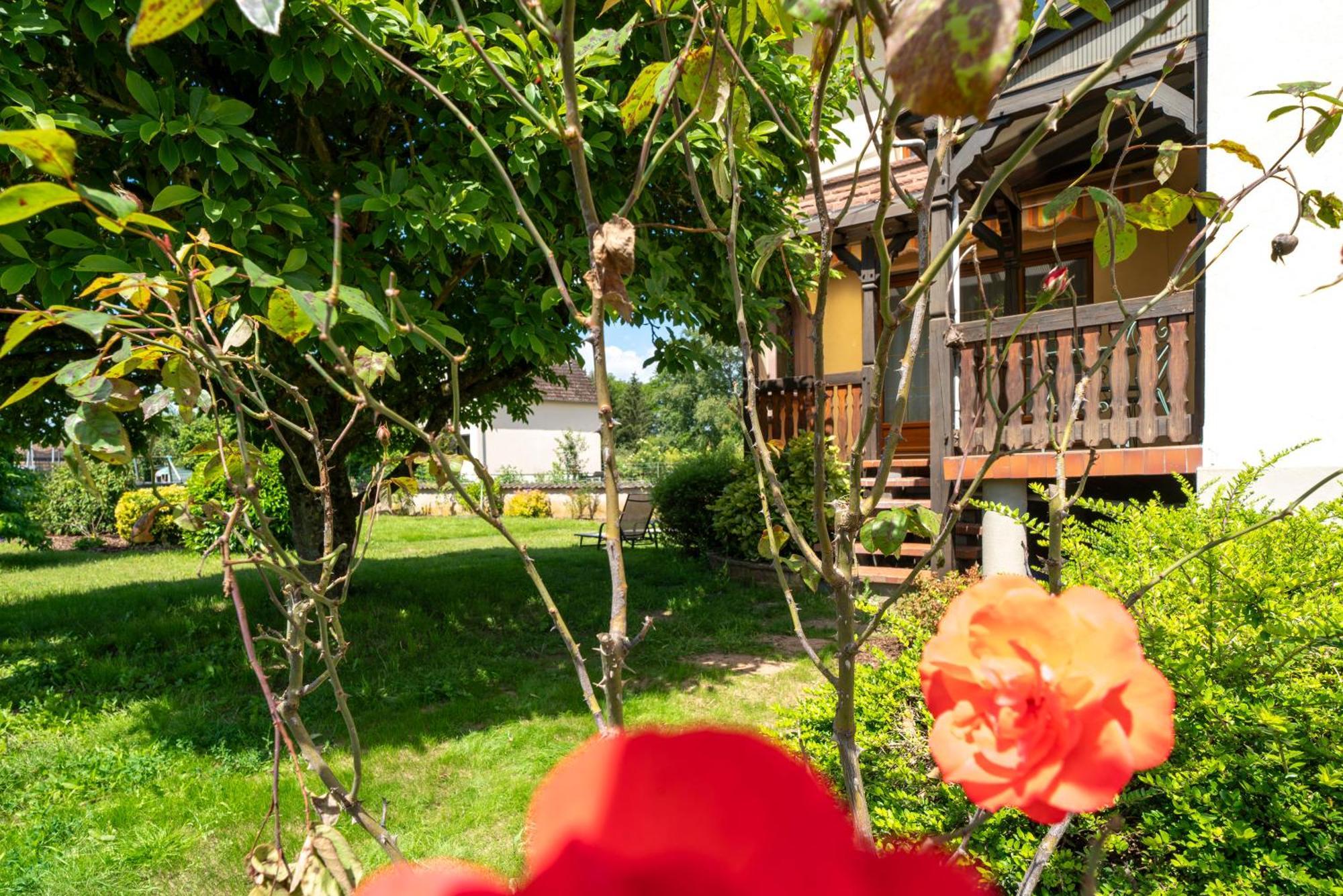 La Clef Des Songes Bed & Breakfast Mertzwiller Exterior photo