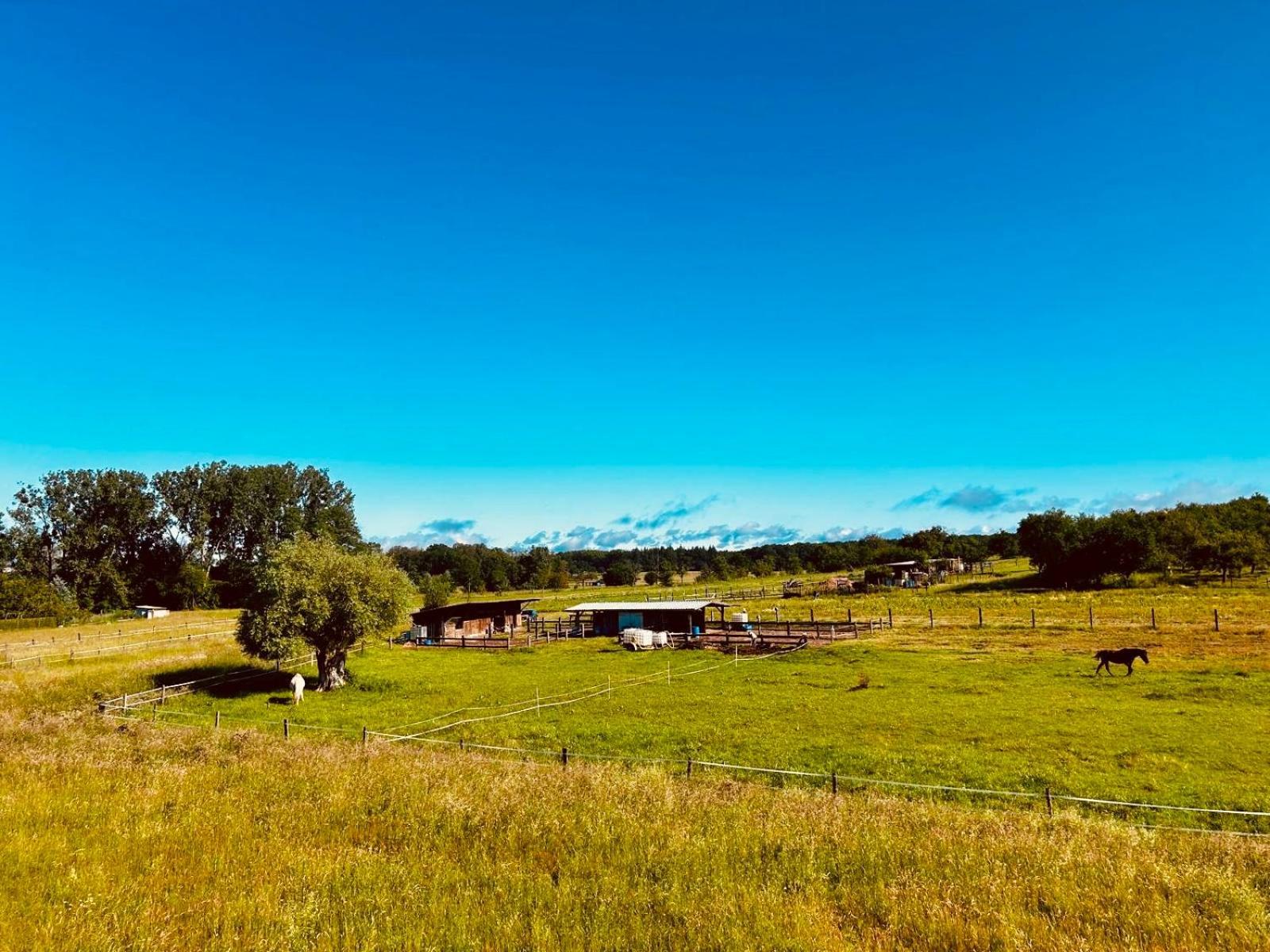 La Clef Des Songes Bed & Breakfast Mertzwiller Exterior photo