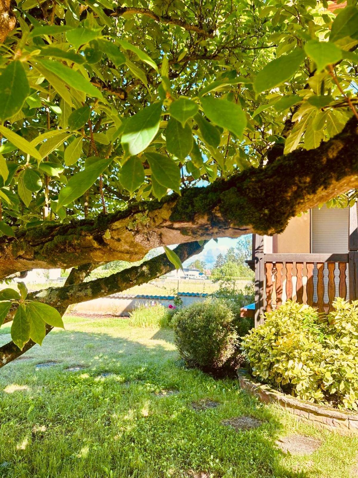 La Clef Des Songes Bed & Breakfast Mertzwiller Exterior photo